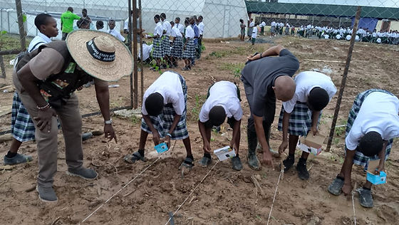 Jigawa State Projects